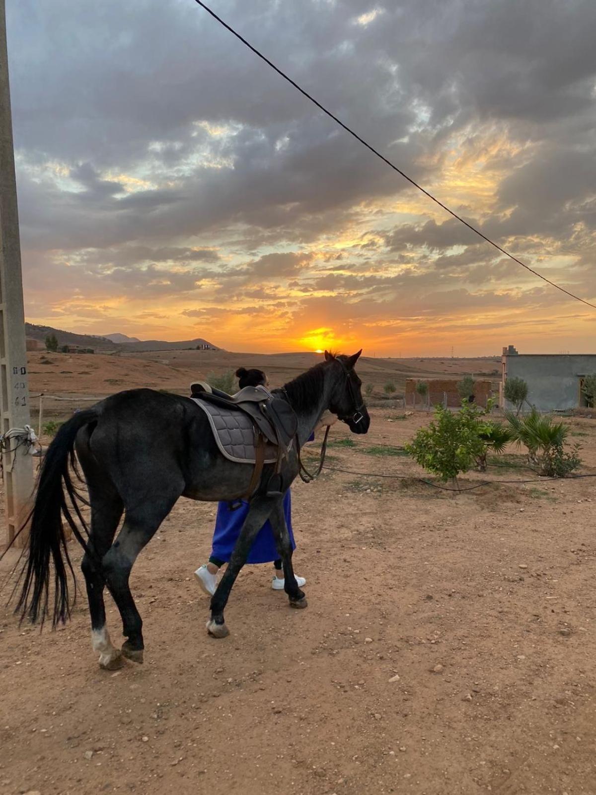 Villa Les Cavaliers Chez Yassine Marrakesh Esterno foto