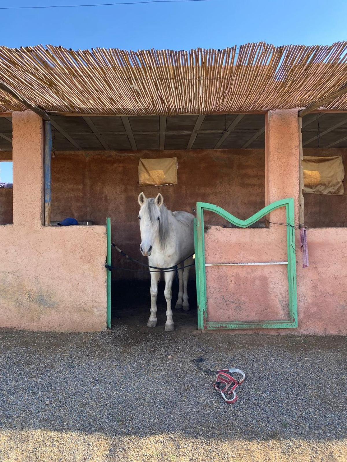 Villa Les Cavaliers Chez Yassine Marrakesh Esterno foto