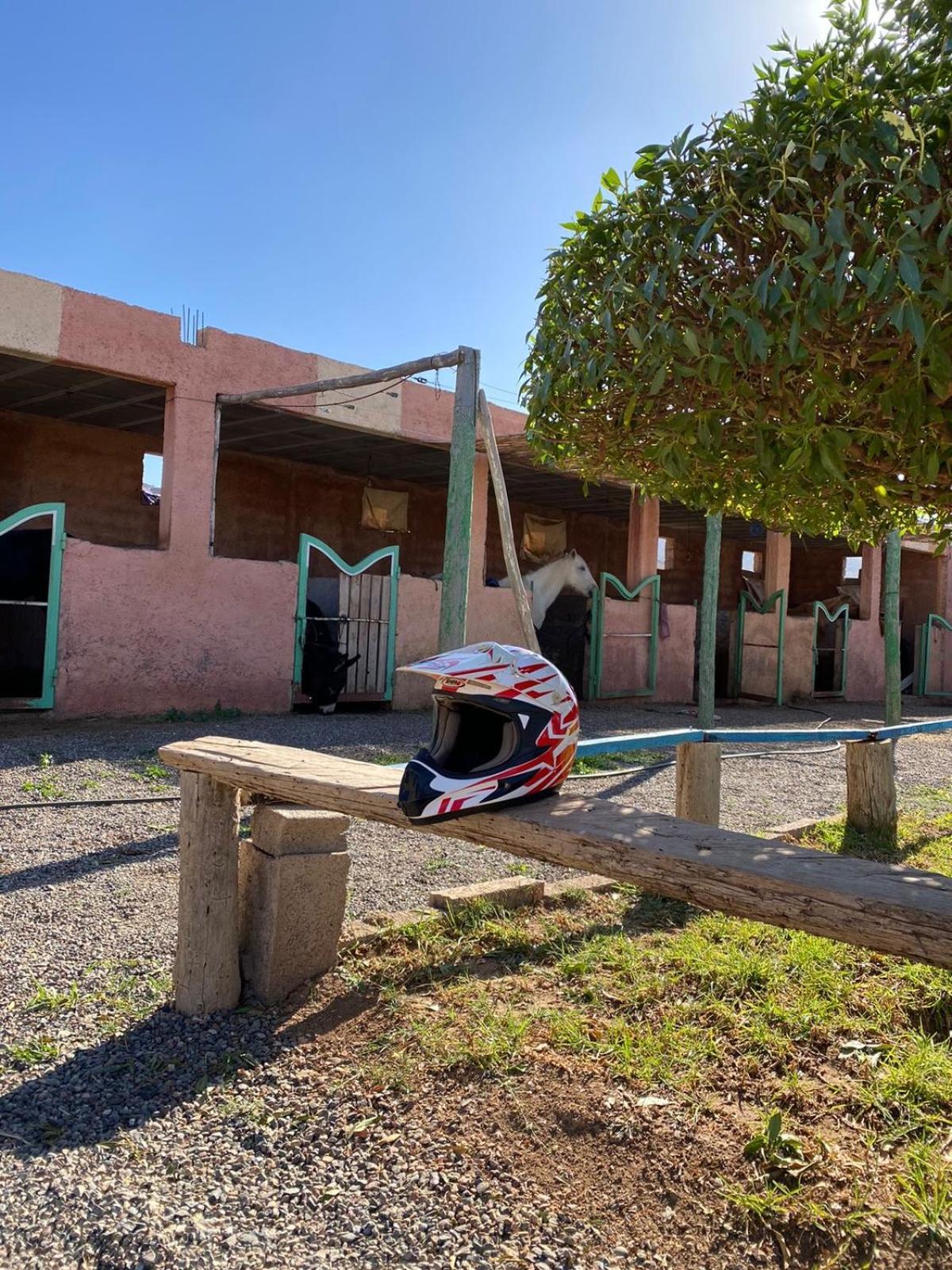 Villa Les Cavaliers Chez Yassine Marrakesh Esterno foto