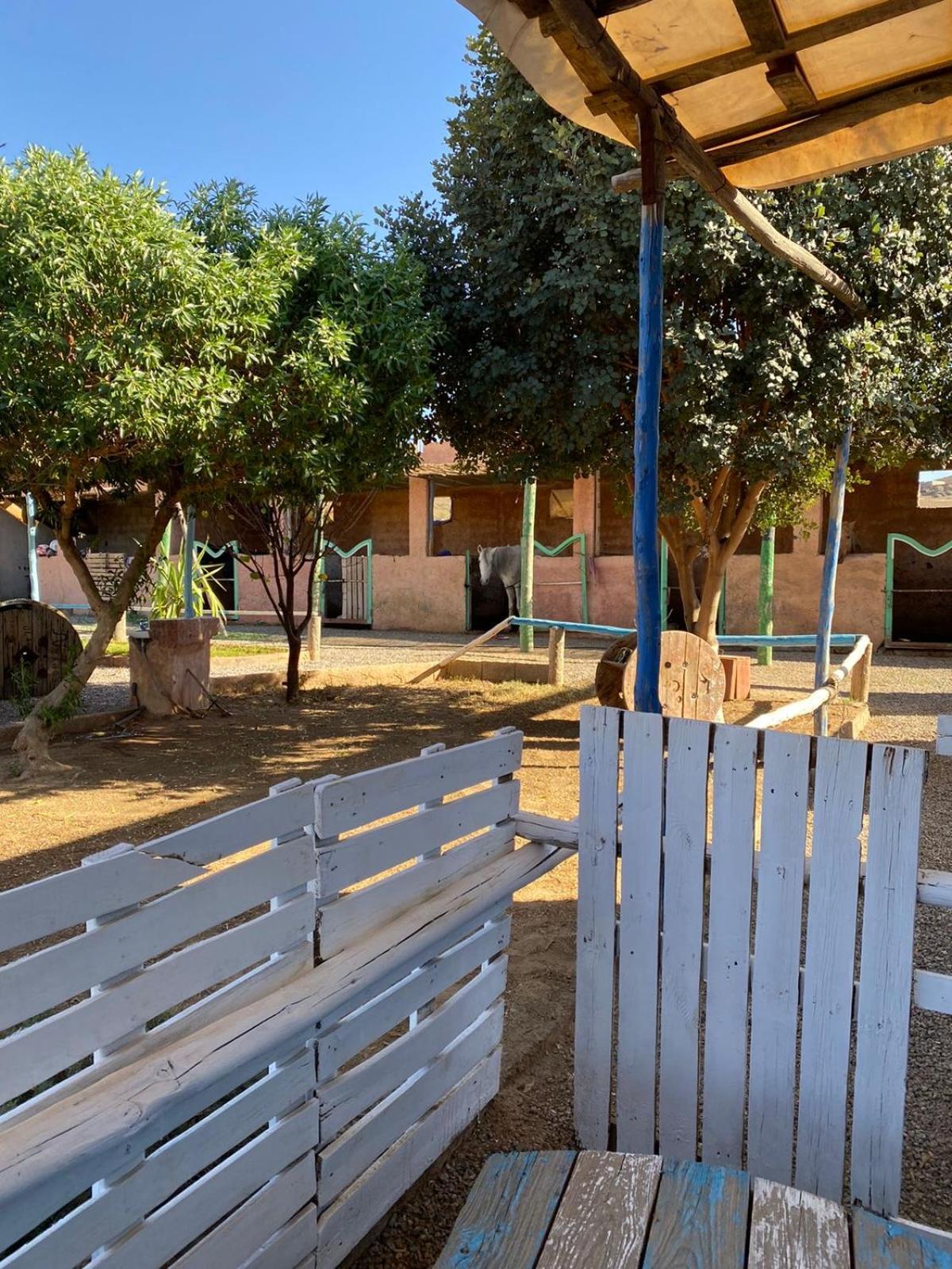 Villa Les Cavaliers Chez Yassine Marrakesh Esterno foto